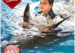 شنا با دلفین در کیش