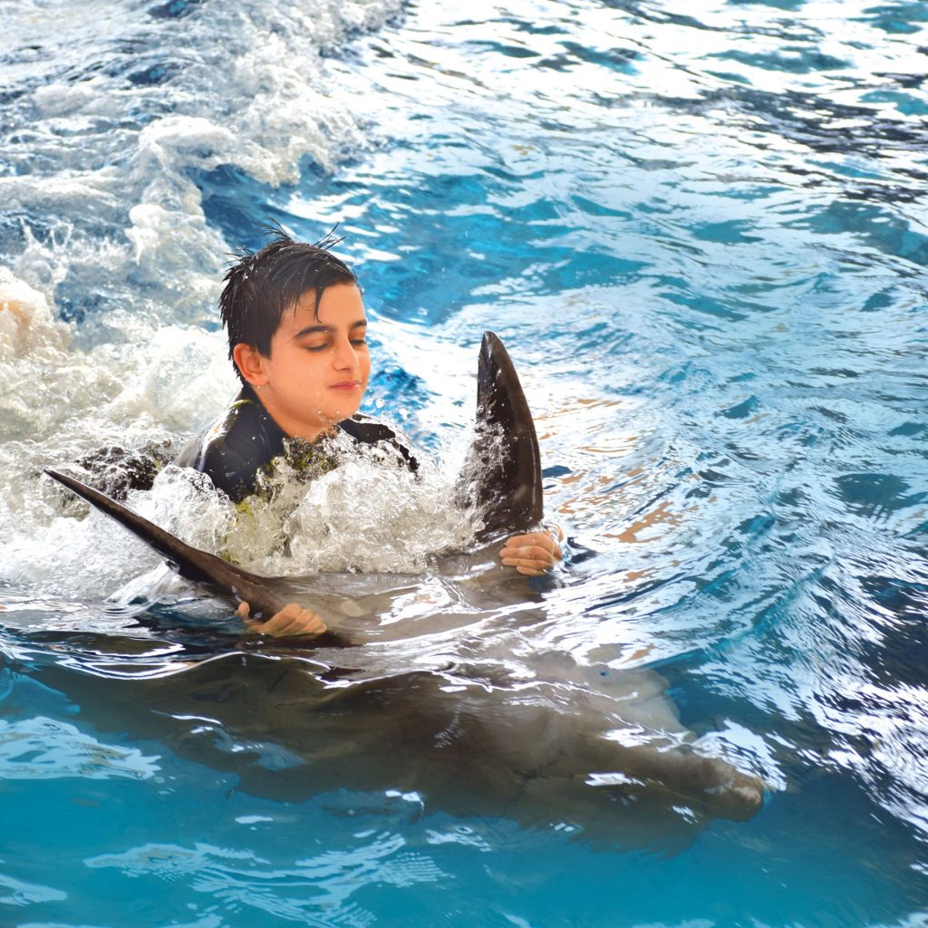 شنا با دلفین در کیش